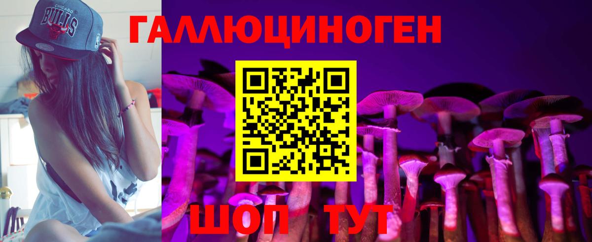 где продают   Галлюциногенные грибы Psilocybine cubensis  Вход с VPN  Городец  Псилоцибиновые грибы прущие грибы 