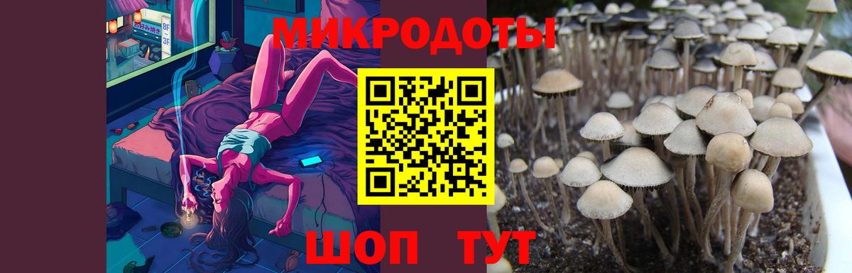 Псилоцибиновые грибы прущие грибы Городец